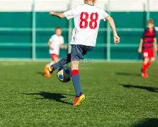 岭色青翠,变废为宝深,度解析,yy易游体育官方,yy易游中国体育,YY易游体育官方网站,yy易游体育app下载