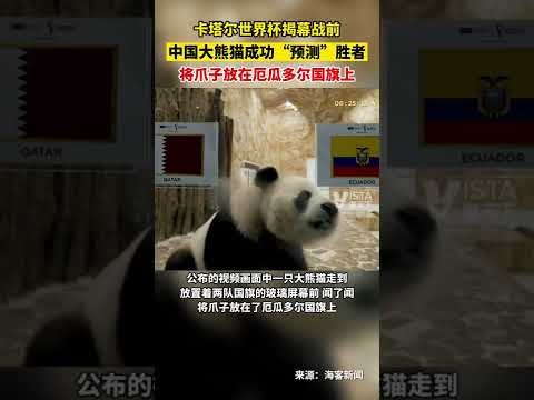 易游体育,下载,资讯,yy易游体育官方,yy易游中国体育,YY易游体育官方网站,yy易游体育app下载