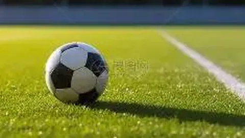 yy易游体育app下载 产品 125004 onk