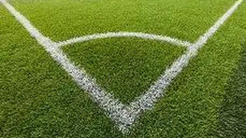 yy易游体育app下载 资讯 131104 67a