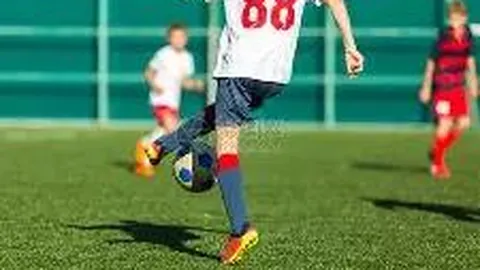 岭色青翠，变废为宝深度解析