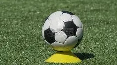 yy易游体育app下载